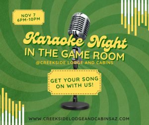 Karaoke with Tommy Stone in the Game Room