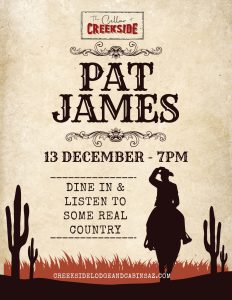 Pat James in concert at Creekside